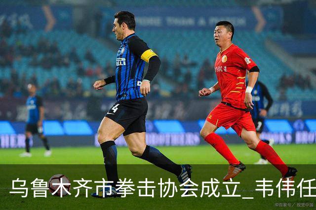 乌鲁木齐市拳击协会成立 韦伟任会长